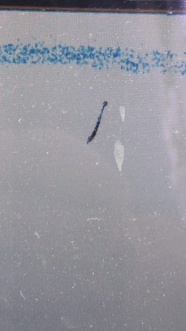 4846D614-13CB-4800-BA52-CD1440E13101