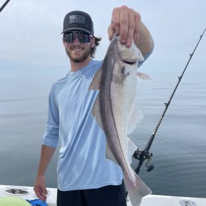 1672123B-6531-467F-B6E5-3C739693AAF1