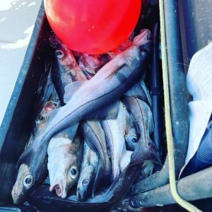 2937DBA6-6682-4257-9BF3-82E9128F6536