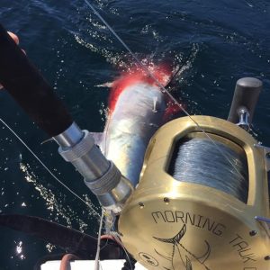 3F164001-721E-4D08-8186-B7D82915CC2D