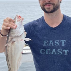 7527B012-EDD9-4A93-A64E-DA046928FC09