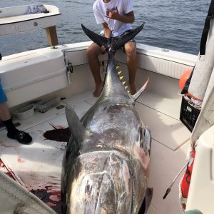 7EEF64E8-53E2-45AD-8CDF-660D8BB58A1C