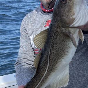 9ACDEFE7-9D73-4716-B08F-E46545F26CA8