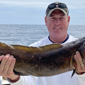 B4FFF09D-F2D7-4A7D-87FE-1862E7D0C88C