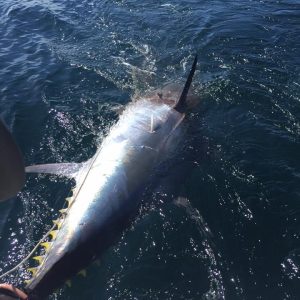 D126F5A1-E47D-4E8C-A329-6BEE1D073A80