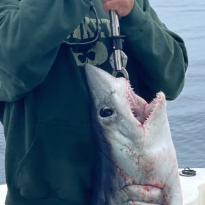 DD7AF0AD-43D8-4CB0-9F5C-7DF46CADF991